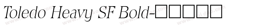 Toledo Heavy SF Bold字体转换